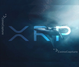 CoinsCapture - Cryptocurrency Trading Prices Today, Live Chart , Market Trades & Cap