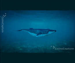 CoinsCapture - Cryptocurrency Trading Prices Today, Live Chart , Market Trades & Cap
