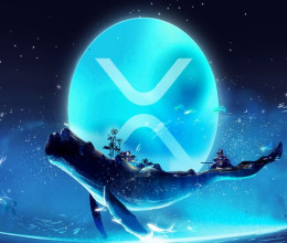 CoinsCapture - Cryptocurrency Trading Prices Today, Live Chart , Market Trades & Cap
