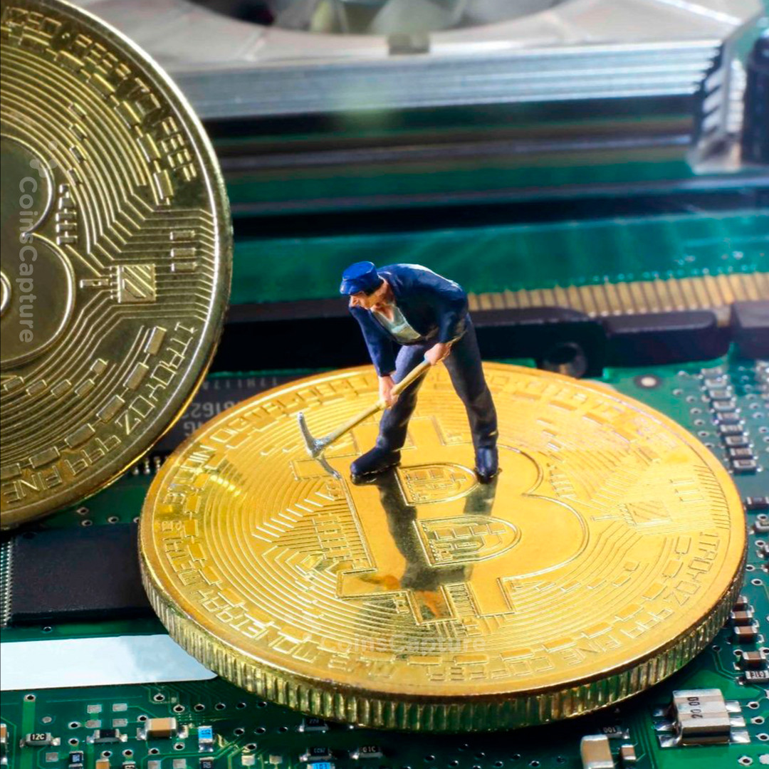 CoinsCapture - Cryptocurrency Trading Prices Today, Live Chart , Market Trades & Cap