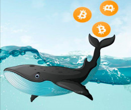 CoinsCapture - Cryptocurrency Trading Prices Today, Live Chart , Market Trades & Cap