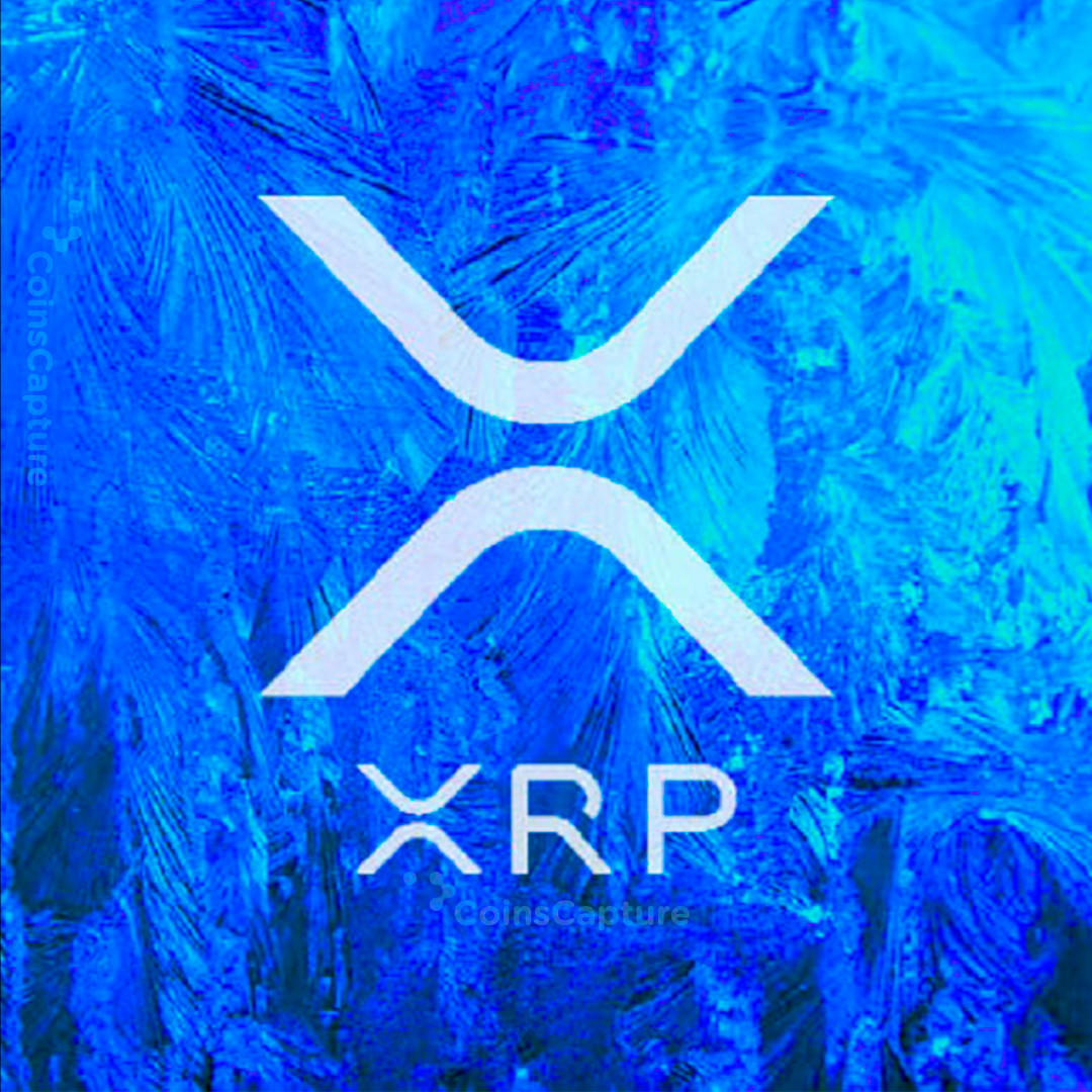 CoinsCapture - Cryptocurrency Trading Prices Today, Live Chart , Market Trades & Cap