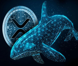 CoinsCapture - Cryptocurrency Trading Prices Today, Live Chart , Market Trades & Cap