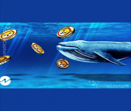 CoinsCapture - Cryptocurrency Trading Prices Today, Live Chart , Market Trades & Cap