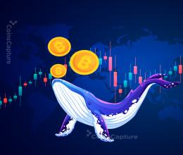 CoinsCapture - Cryptocurrency Trading Prices Today, Live Chart , Market Trades & Cap