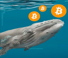 CoinsCapture - Cryptocurrency Trading Prices Today, Live Chart , Market Trades & Cap