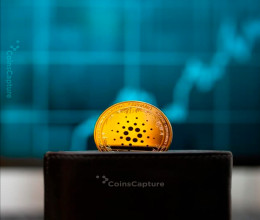 CoinsCapture - Cryptocurrency Trading Prices Today, Live Chart , Market Trades & Cap