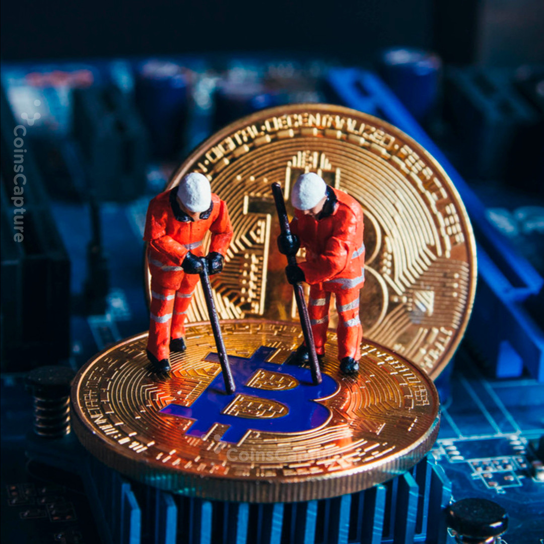 CoinsCapture - Cryptocurrency Trading Prices Today, Live Chart , Market Trades & Cap