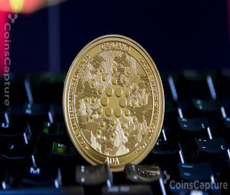 CoinsCapture - Cryptocurrency Trading Prices Today, Live Chart , Market Trades & Cap