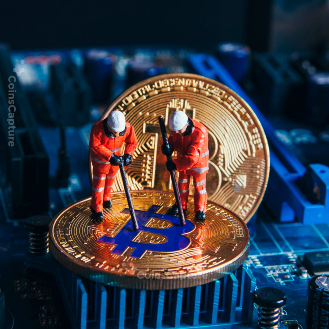CoinsCapture - Cryptocurrency Trading Prices Today, Live Chart , Market Trades & Cap