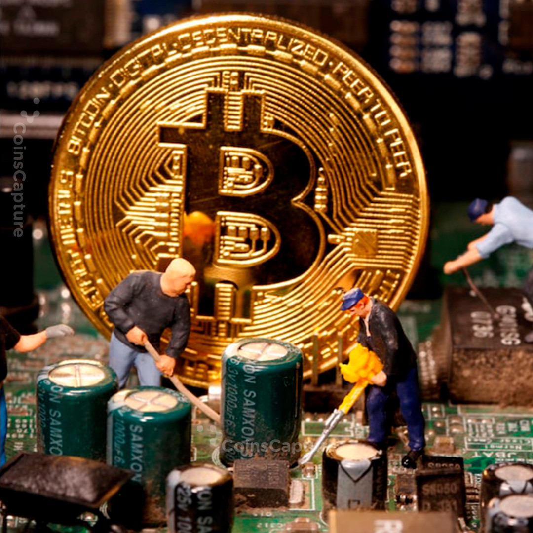CoinsCapture - Cryptocurrency Trading Prices Today, Live Chart , Market Trades & Cap