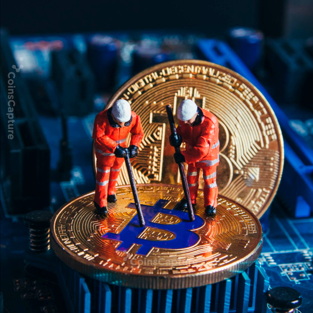 CoinsCapture - Cryptocurrency Trading Prices Today, Live Chart , Market Trades & Cap
