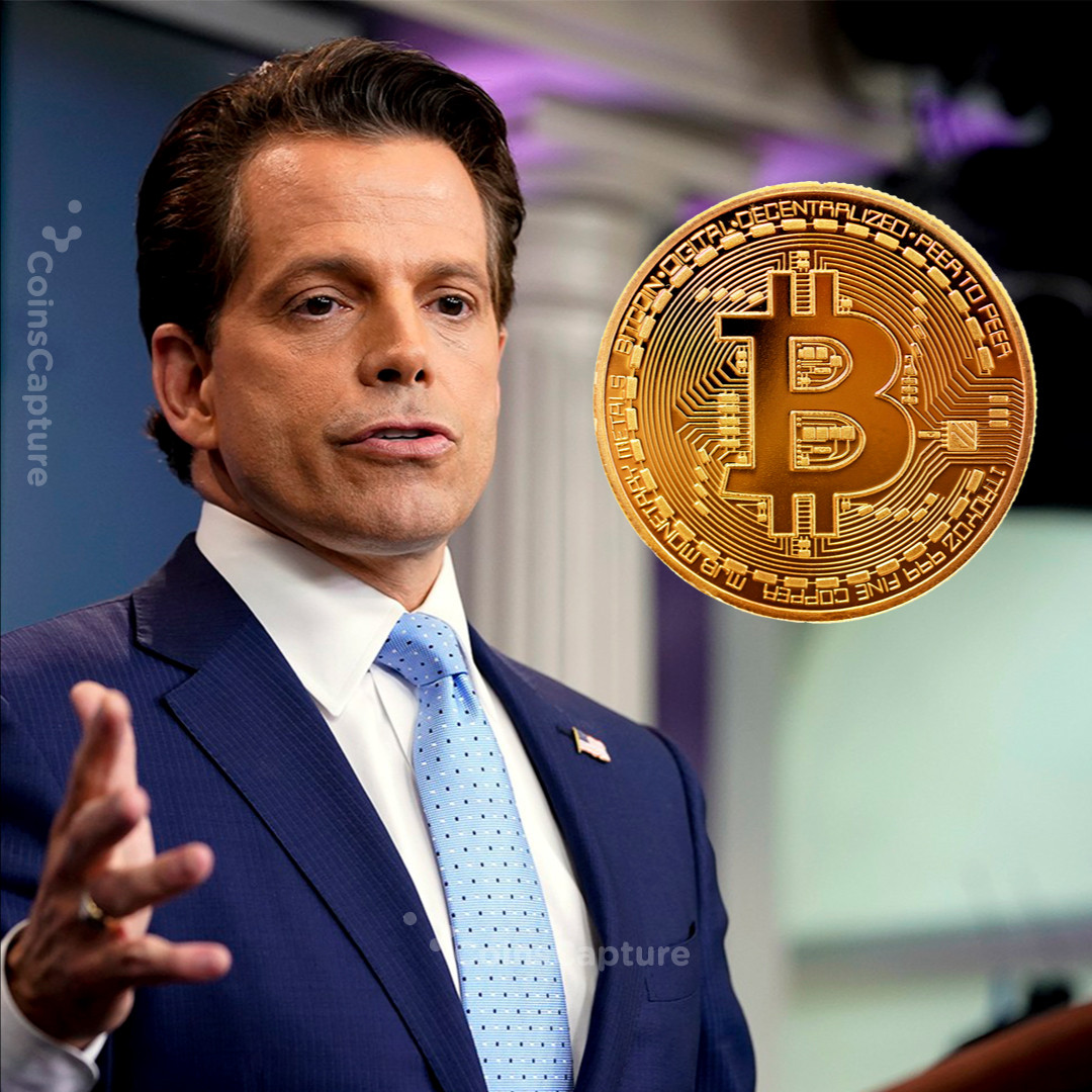 CoinsCapture - Cryptocurrency Trading Prices Today, Live Chart , Market Trades & Cap