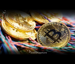 CoinsCapture - Cryptocurrency Trading Prices Today, Live Chart , Market Trades & Cap