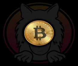 CoinsCapture - Cryptocurrency Trading Prices Today, Live Chart , Market Trades & Cap