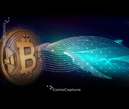 CoinsCapture - Cryptocurrency Trading Prices Today, Live Chart , Market Trades & Cap