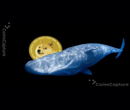 CoinsCapture - Cryptocurrency Trading Prices Today, Live Chart , Market Trades & Cap