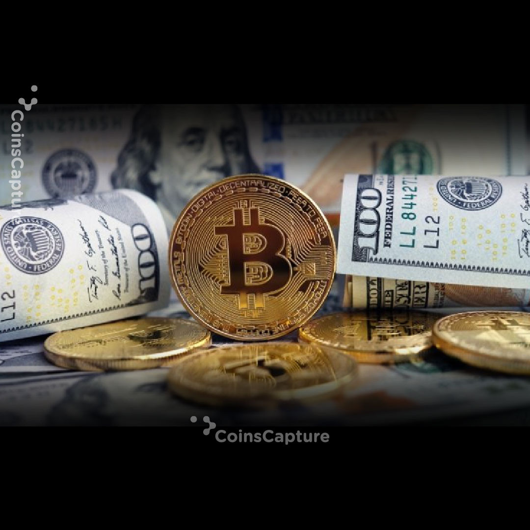 CoinsCapture - Cryptocurrency Trading Prices Today, Live Chart , Market Trades & Cap