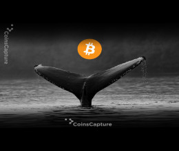 CoinsCapture - Cryptocurrency Trading Prices Today, Live Chart , Market Trades & Cap