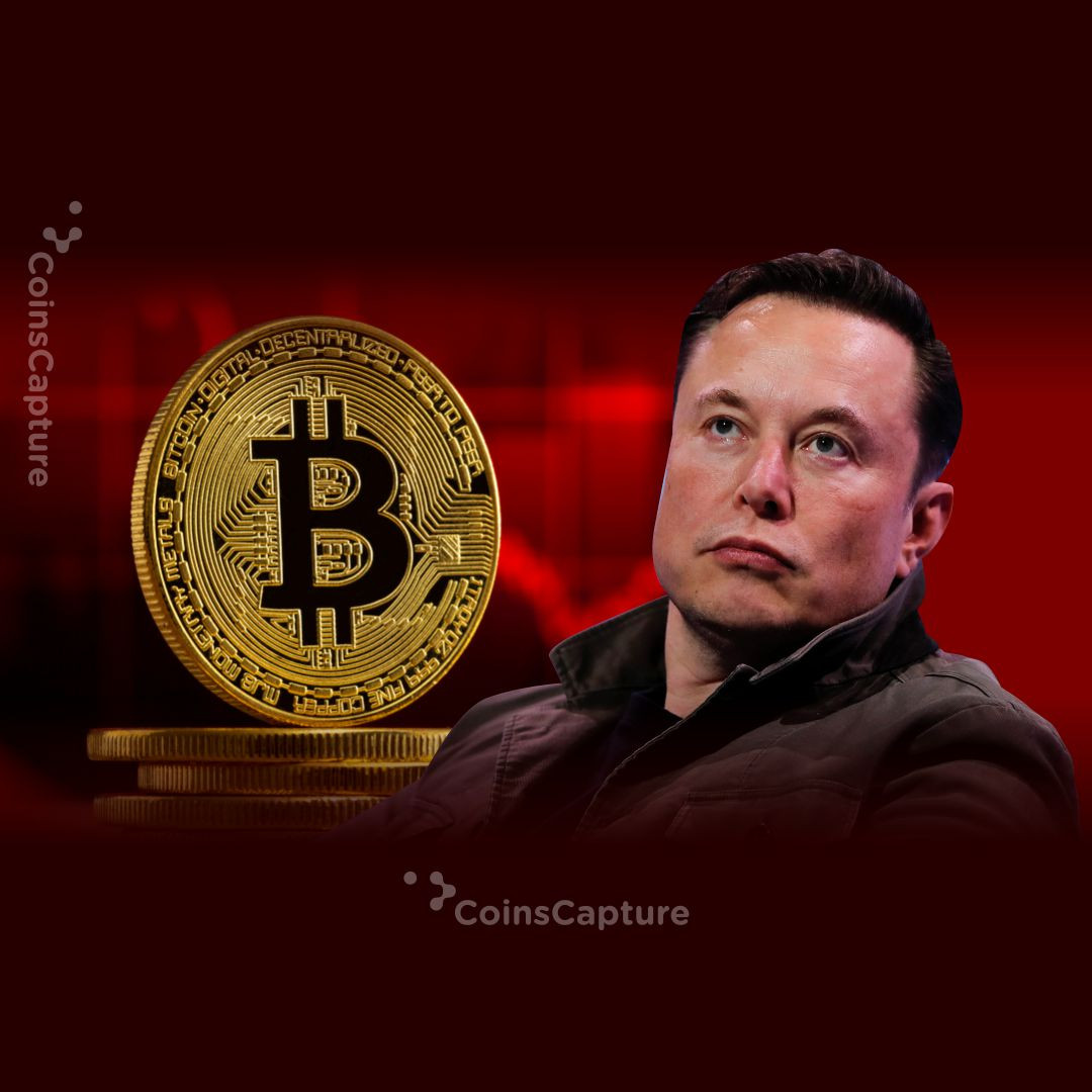 CoinsCapture - Cryptocurrency Trading Prices Today, Live Chart , Market Trades & Cap