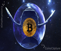 CoinsCapture - Cryptocurrency Trading Prices Today, Live Chart , Market Trades & Cap