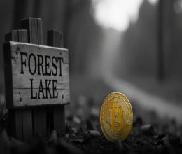 CoinsCapture - Cryptocurrency Trading Prices Today, Live Chart , Market Trades & Cap