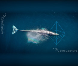 CoinsCapture - Cryptocurrency Trading Prices Today, Live Chart , Market Trades & Cap