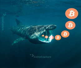 CoinsCapture - Cryptocurrency Trading Prices Today, Live Chart , Market Trades & Cap