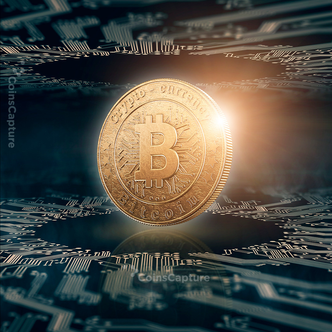 CoinsCapture - Cryptocurrency Trading Prices Today, Live Chart , Market Trades & Cap