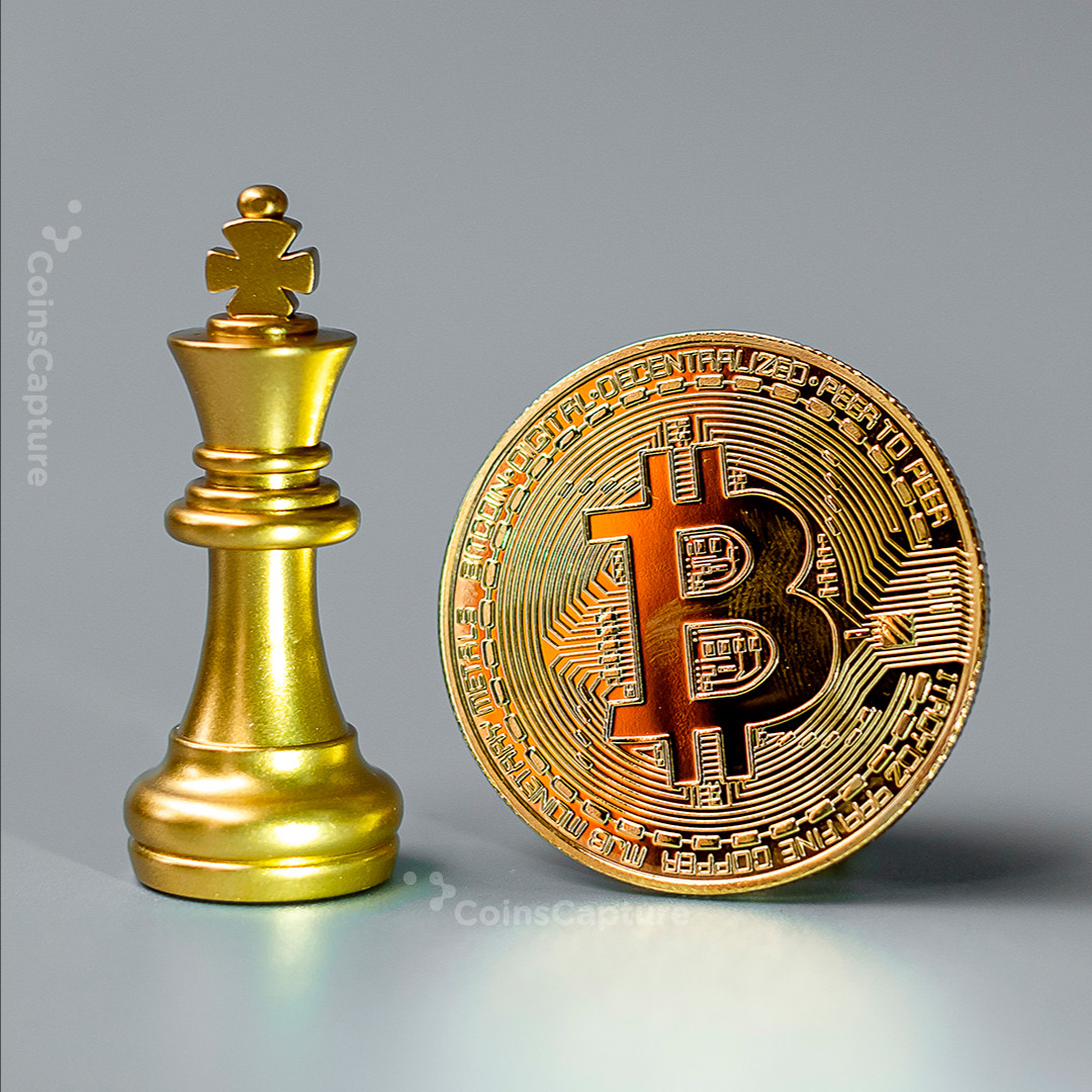 CoinsCapture - Cryptocurrency Trading Prices Today, Live Chart , Market Trades & Cap