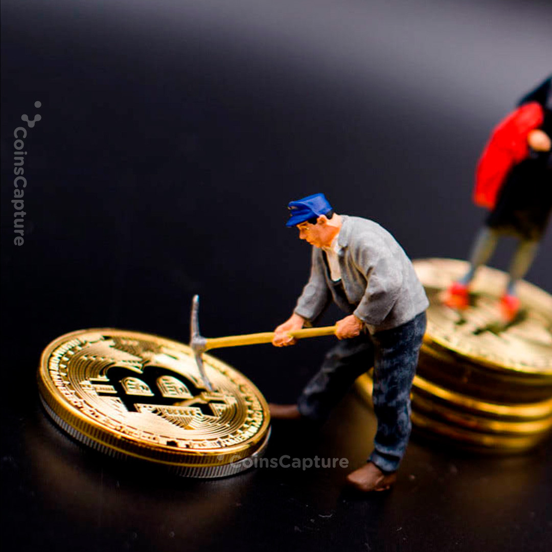 CoinsCapture - Cryptocurrency Trading Prices Today, Live Chart , Market Trades & Cap