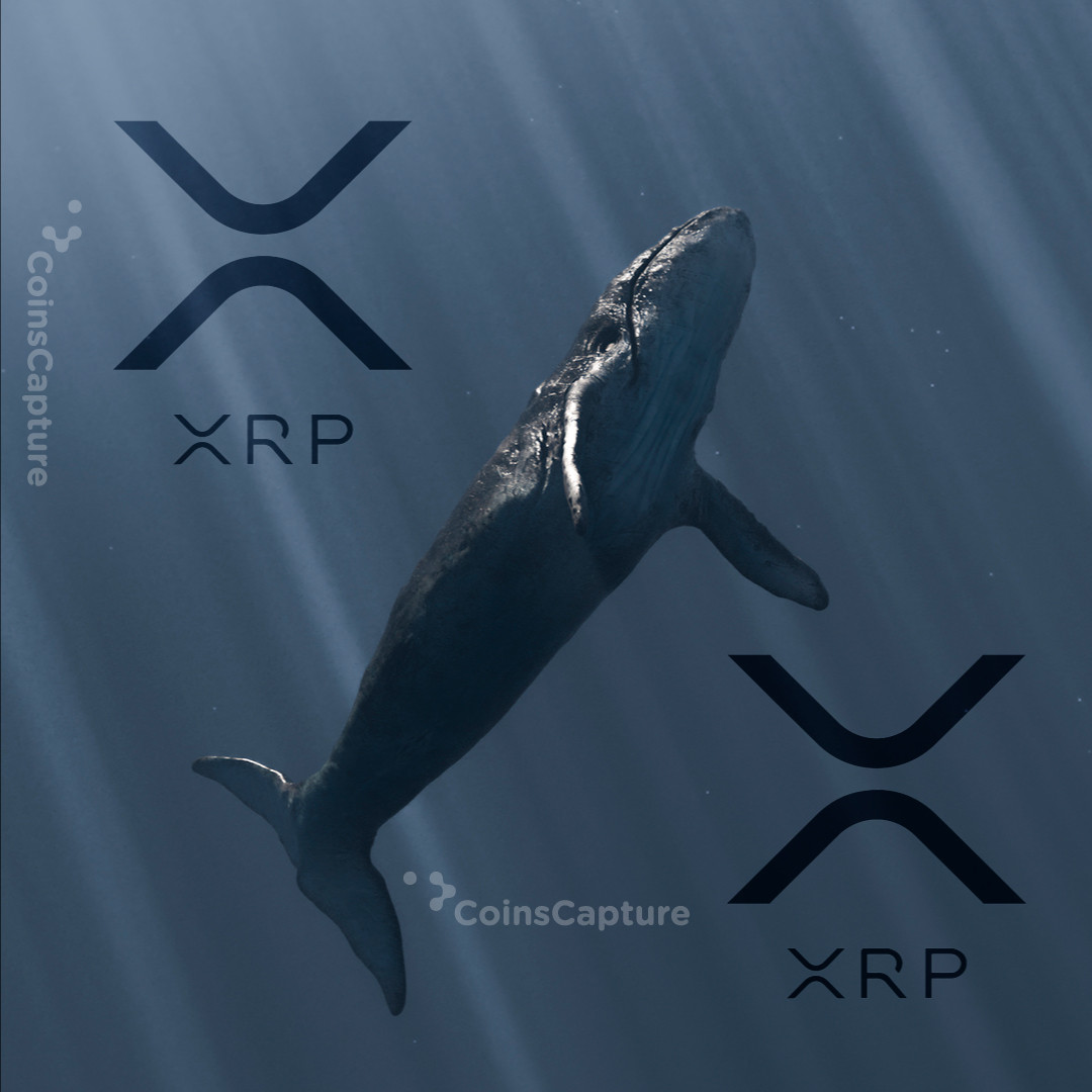 CoinsCapture - Cryptocurrency Trading Prices Today, Live Chart , Market Trades & Cap