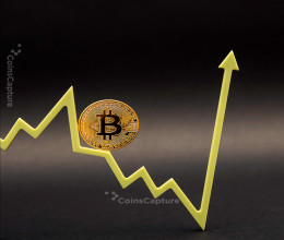 CoinsCapture - Cryptocurrency Trading Prices Today, Live Chart , Market Trades & Cap