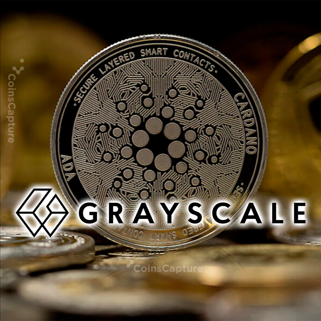 CoinsCapture - Cryptocurrency Trading Prices Today, Live Chart , Market Trades & Cap