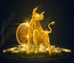 CoinsCapture - Cryptocurrency Trading Prices Today, Live Chart , Market Trades & Cap