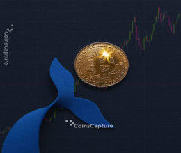 CoinsCapture - Cryptocurrency Trading Prices Today, Live Chart , Market Trades & Cap