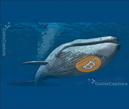 CoinsCapture - Cryptocurrency Trading Prices Today, Live Chart , Market Trades & Cap