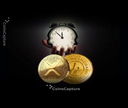 CoinsCapture - Cryptocurrency Trading Prices Today, Live Chart , Market Trades & Cap