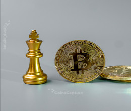 CoinsCapture - Cryptocurrency Trading Prices Today, Live Chart , Market Trades & Cap