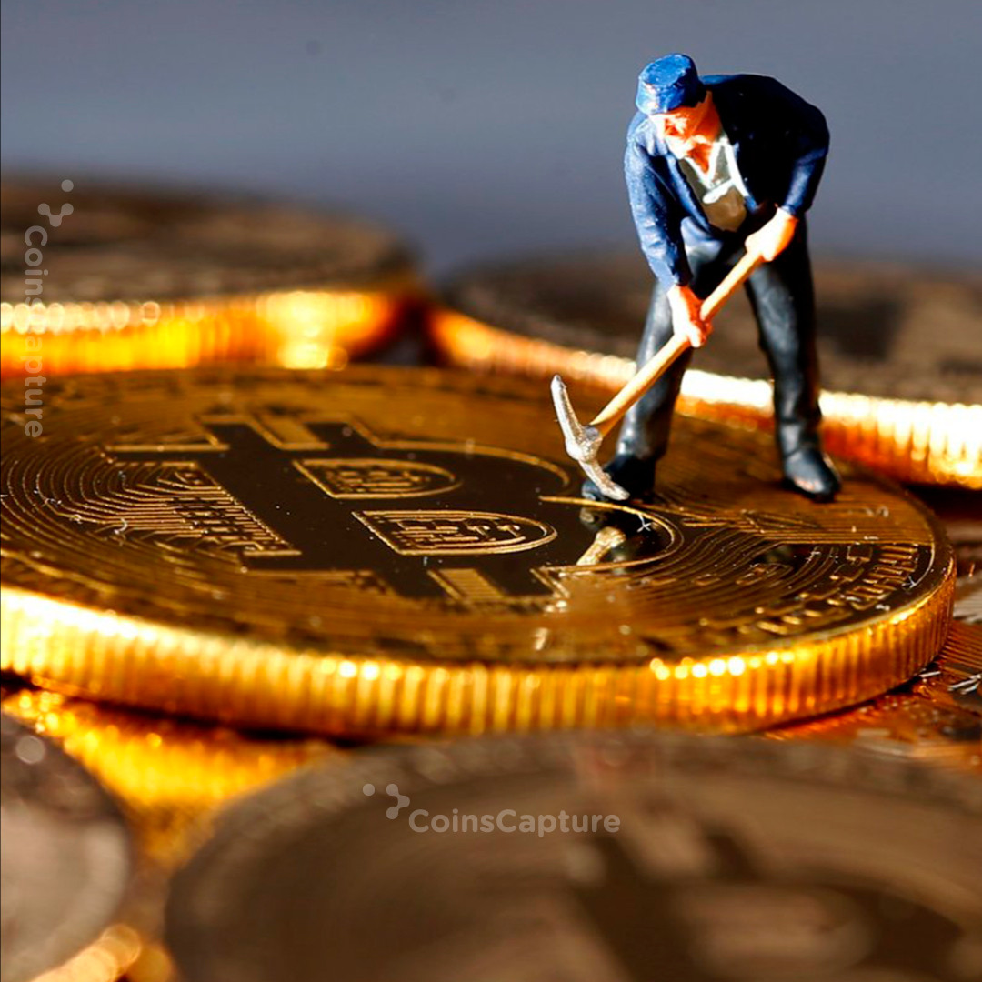 CoinsCapture - Cryptocurrency Trading Prices Today, Live Chart , Market Trades & Cap