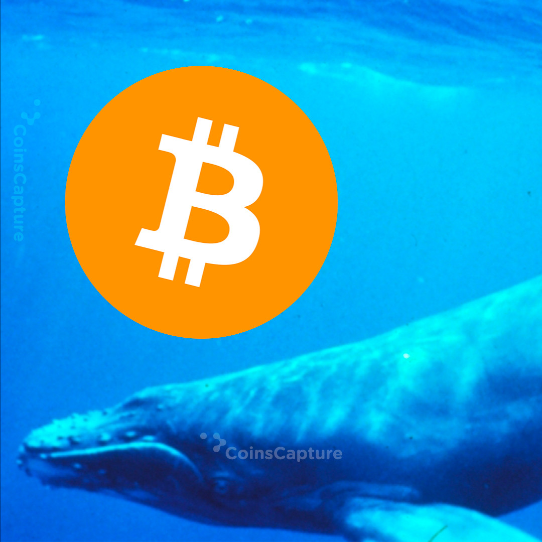 CoinsCapture - Cryptocurrency Trading Prices Today, Live Chart , Market Trades & Cap