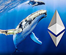 CoinsCapture - Cryptocurrency Trading Prices Today, Live Chart , Market Trades & Cap