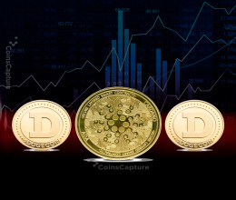 CoinsCapture - Cryptocurrency Trading Prices Today, Live Chart , Market Trades & Cap
