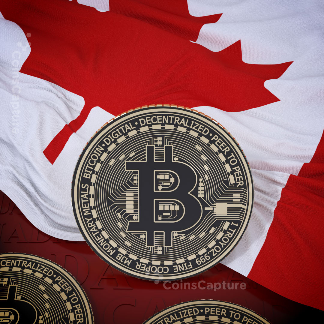 CoinsCapture - Cryptocurrency Trading Prices Today, Live Chart , Market Trades & Cap