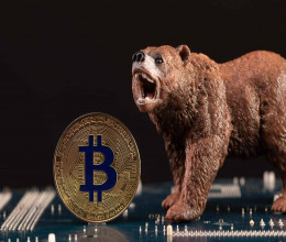 CoinsCapture - Cryptocurrency Trading Prices Today, Live Chart , Market Trades & Cap