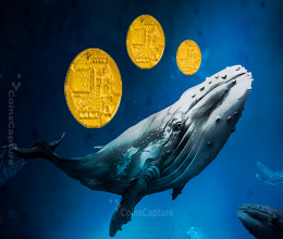 CoinsCapture - Cryptocurrency Trading Prices Today, Live Chart , Market Trades & Cap