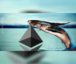 CoinsCapture - Cryptocurrency Trading Prices Today, Live Chart , Market Trades & Cap