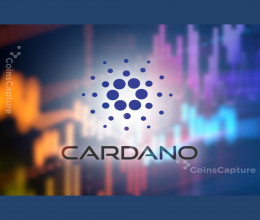 CoinsCapture - Cryptocurrency Trading Prices Today, Live Chart , Market Trades & Cap
