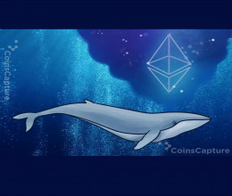 CoinsCapture - Cryptocurrency Trading Prices Today, Live Chart , Market Trades & Cap