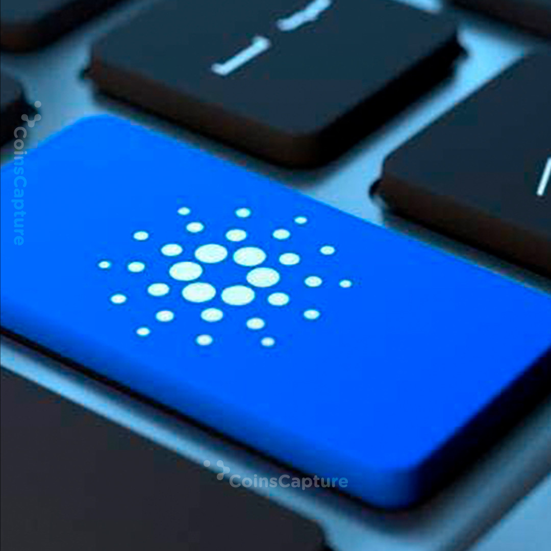 CoinsCapture - Cryptocurrency Trading Prices Today, Live Chart , Market Trades & Cap